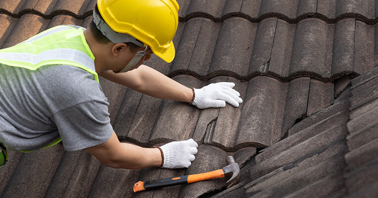 roof maintenance guide